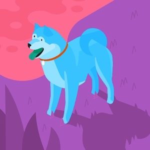 Meet your Posher, Joaquin